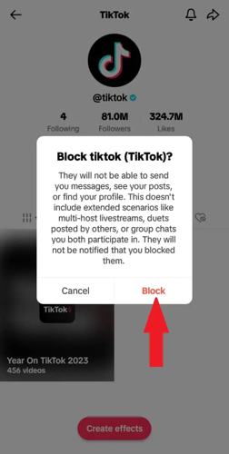 confirmar bloqueo en TikTok