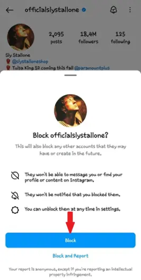 confirmar el bloqueo del usuario